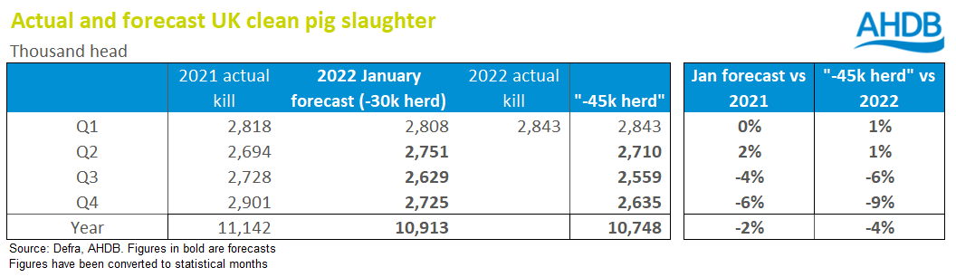 Chart showing actual and forecast pig slaughter